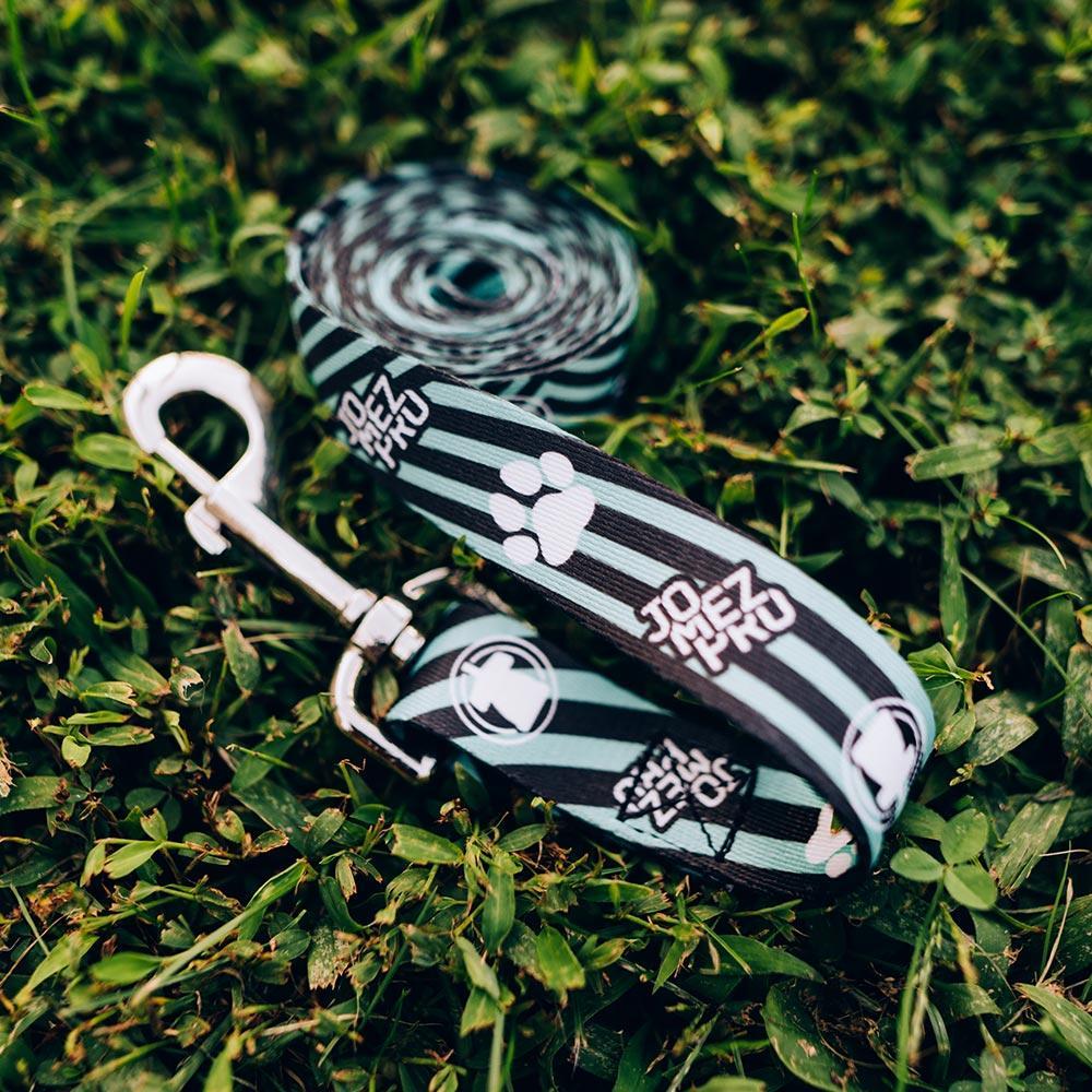 JomezPro Dog Leash