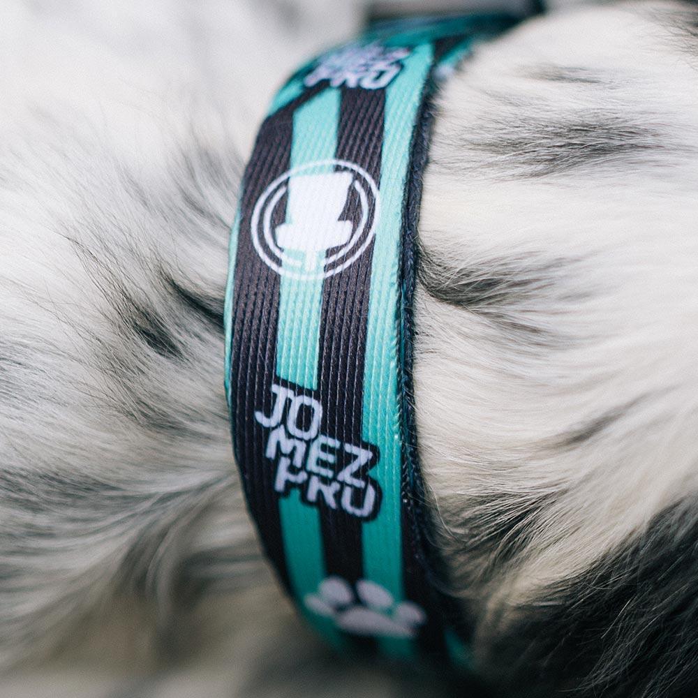 JomezPro Dog Collar