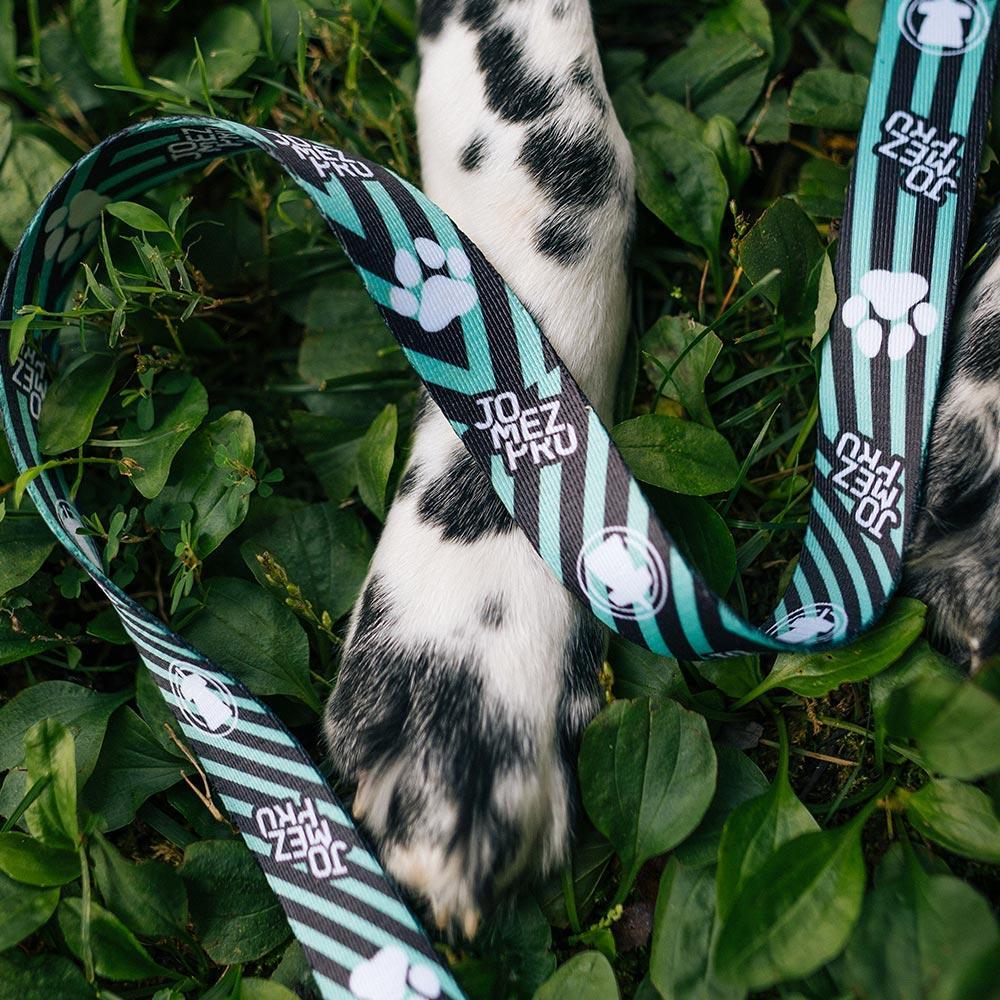 JomezPro Dog Leash