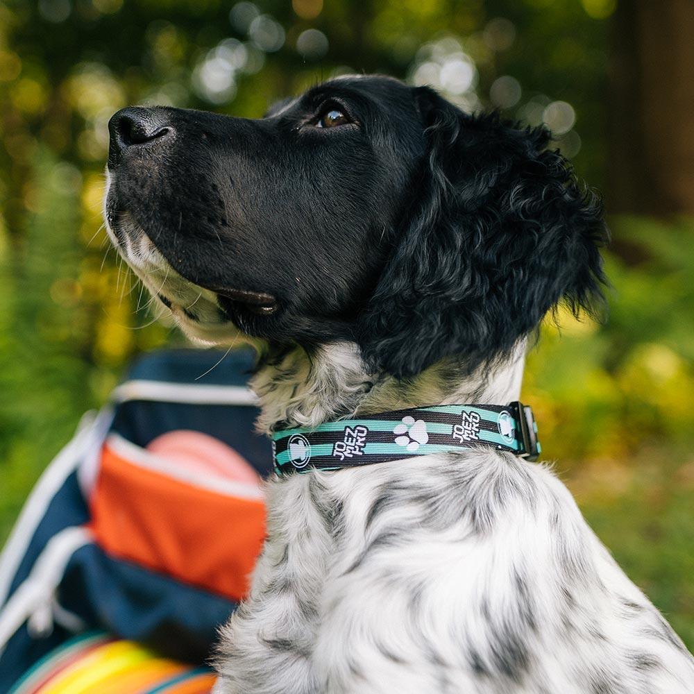 JomezPro Dog Collar