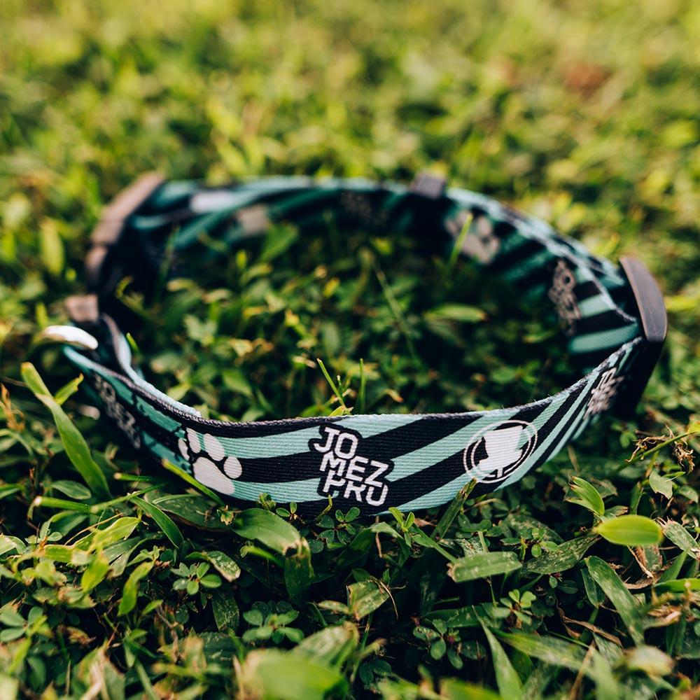 JomezPro Dog Collar