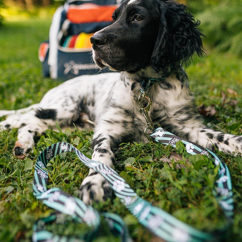 JomezPro Dog Leash