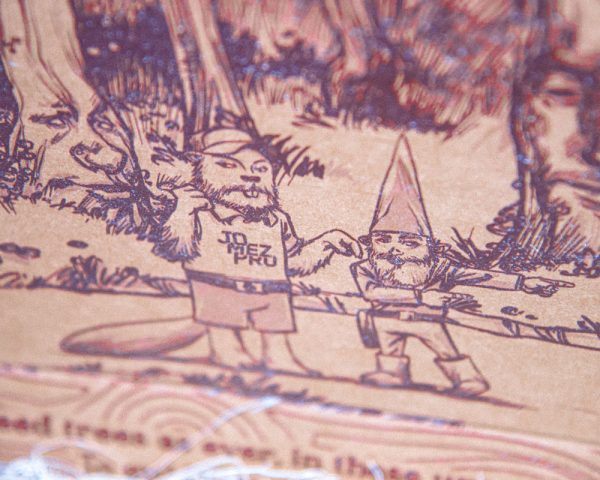 Why Are Trees Collector's Box - Image 3