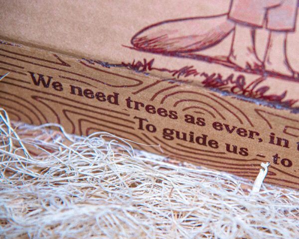 Why Are Trees Collector's Box - Image 17